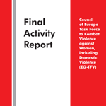 Final Activity Report