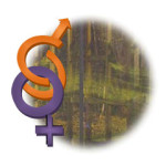 Workshop em Igualdade de Género, Cidadania e Não Discriminação