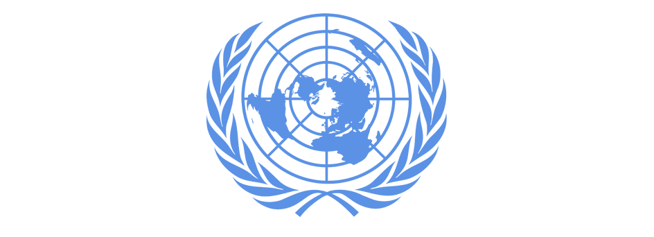 69.ª sessão da Assembleia Geral da ONU, 3.ª  Comissão – Adoção de três Resoluções sobre Direitos das Mulheres e das Raparigas