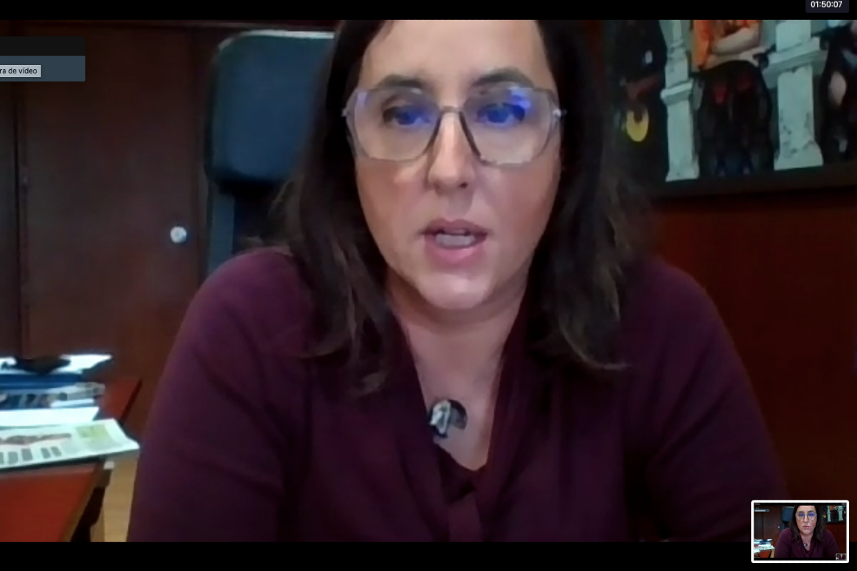 Rosa Monteiro, Secretária de Estado para a Cidadania e Igualdade