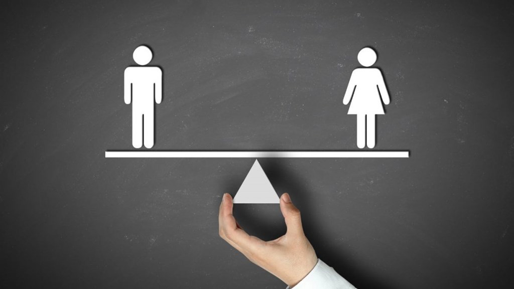 Projeto "National Statistics System on Gender Equality" divulga resultados de inquérito