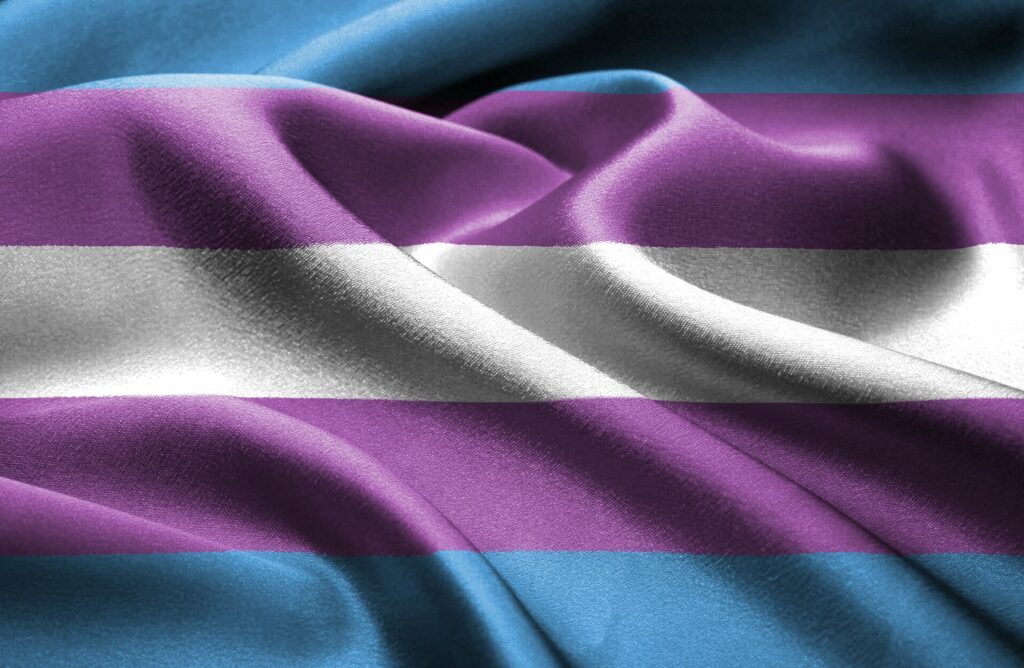 bandeira transgénero