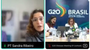 Imagem da reunião on-line com a presidente da CIG e o Grupo de Trabalho do G20