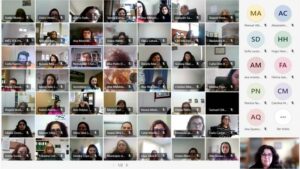Imagem com os vários participantes no webinar