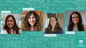 Fotografia de Claudia Deus, Laetitia Gaspar, Mariana Osswald e Sara pereira 